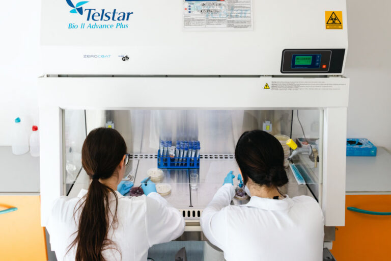 attività lab1