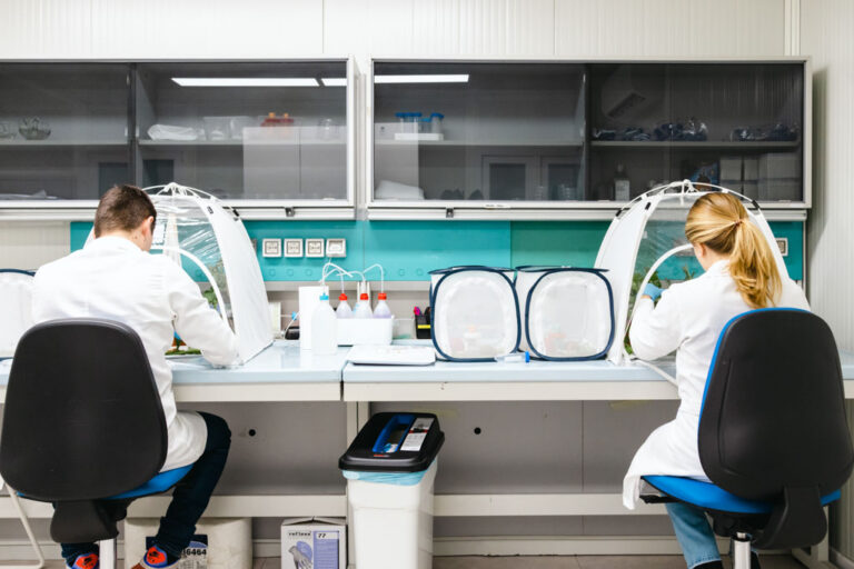 attività lab3