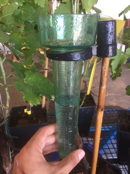 Resistenza alla pioggia (Rain fastness)